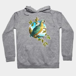 Parrot 1 Hoodie